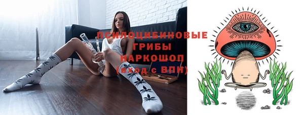 стаф Бронницы