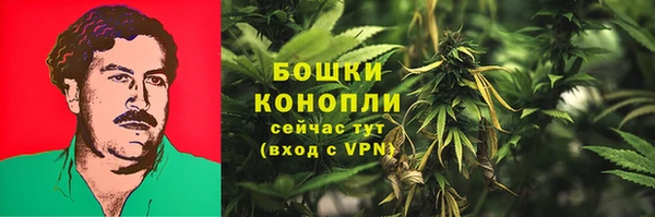 прущие крисы Бородино