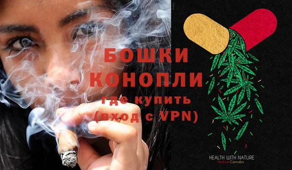 прущие крисы Бородино
