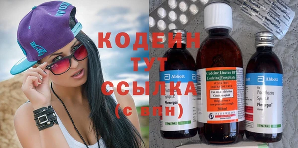 прущие крисы Бородино