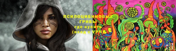прущие крисы Бородино