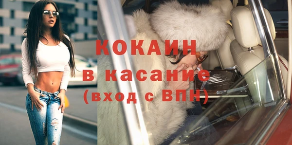 прущие крисы Бородино