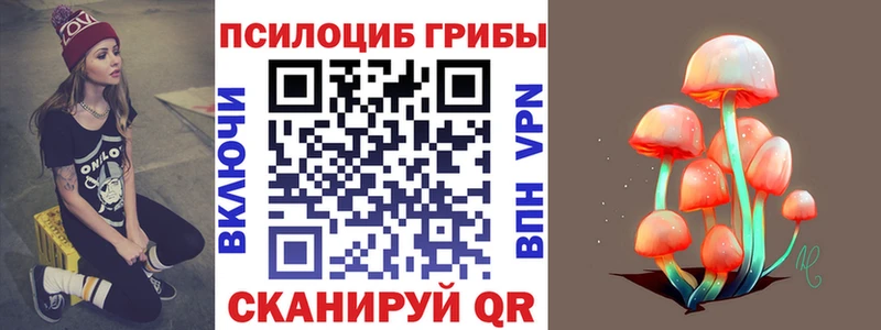 Псилоцибиновые грибы прущие грибы  Камень-на-Оби 